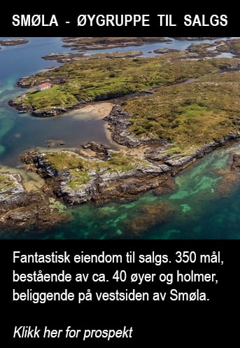 smola oygruppe til salgs
