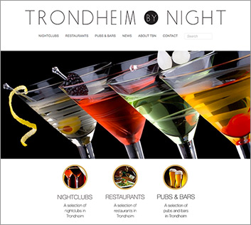 trondheim by night