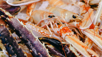 ravnkloa-fisk-og-skalldyr